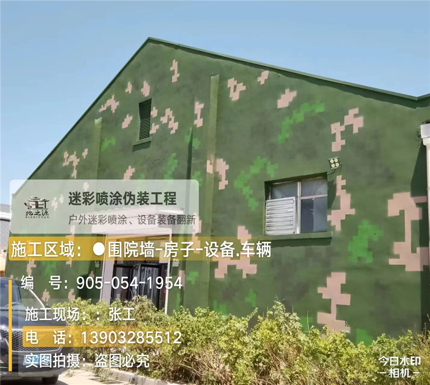 新余外墙数码迷彩漆施工报价清单(100㎡标准墙面测算)